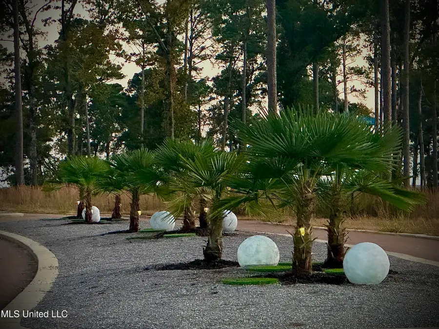 104 Calliope Park, Canton, MS 39046 - Image #3