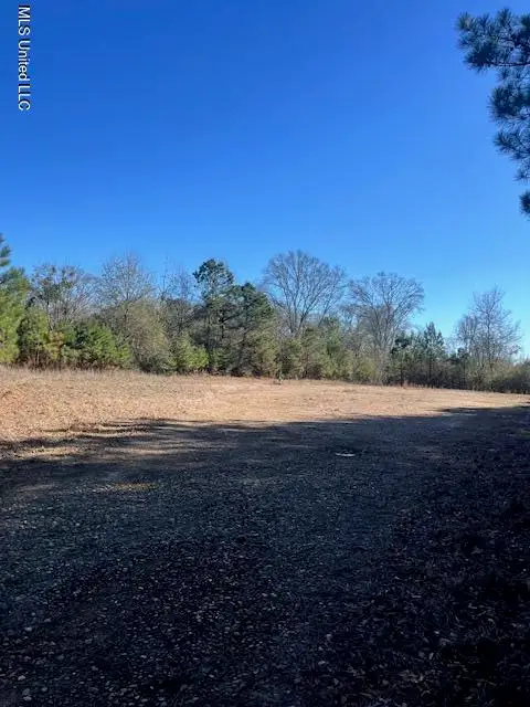 000 Shivers Booth Road, New Hebron, MS 39140