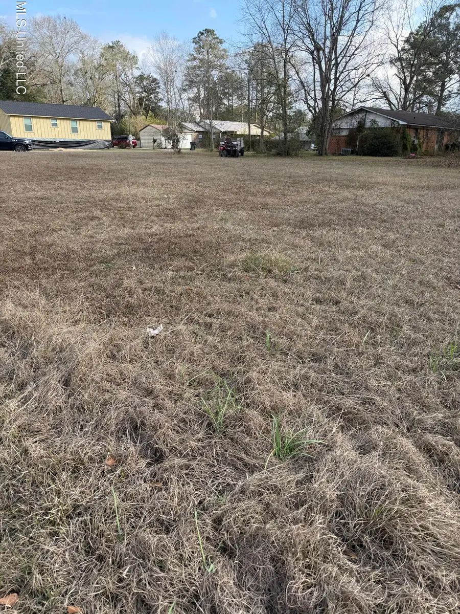 Lafayette St Avenue, Leakesville, MS 39451 - Image #2