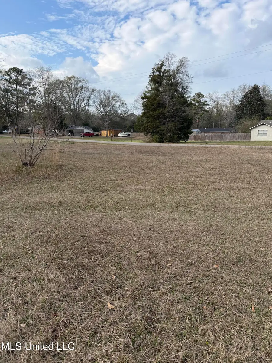 Lafayette St Avenue, Leakesville, MS 39451 - Image #3