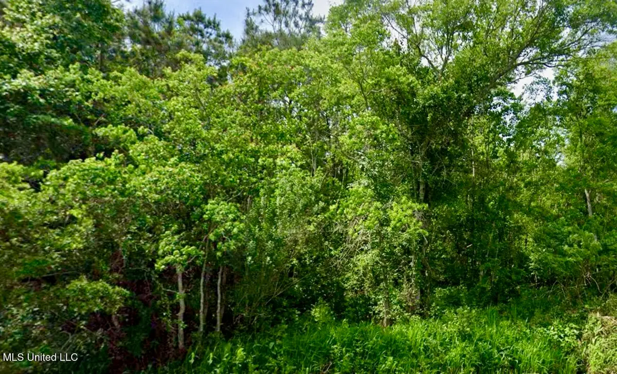 Vacation Lane, Waveland, MS 39576 - Image #1