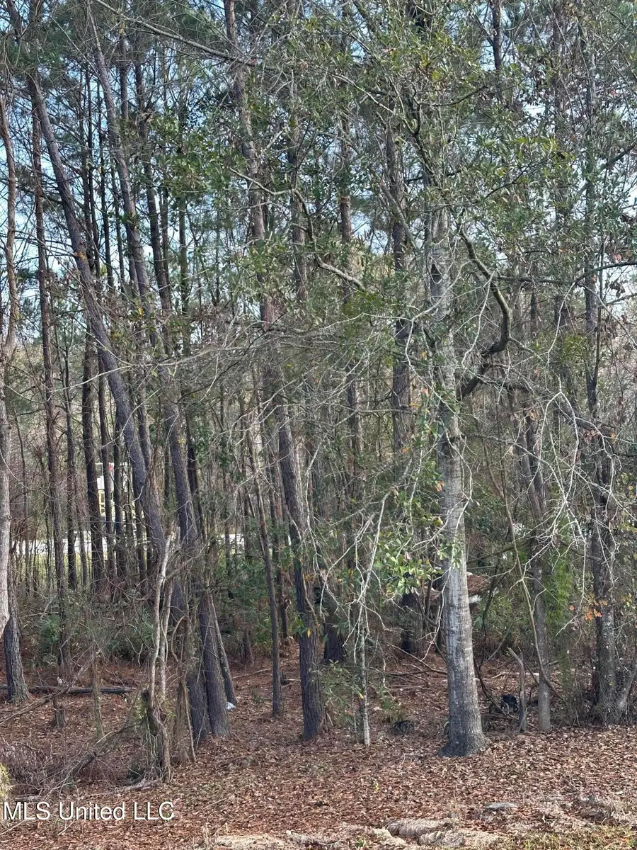 Vacation Lane, Waveland, MS 39576 - Image #3