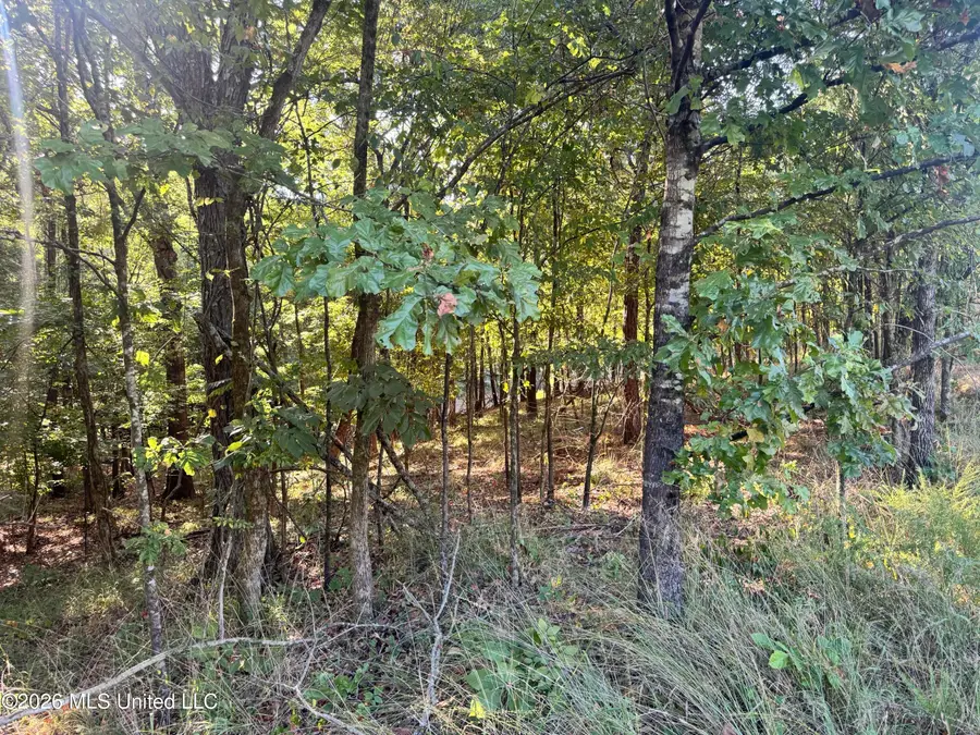 0 S Red Banks Road, Byhalia, MS 38611 - #2