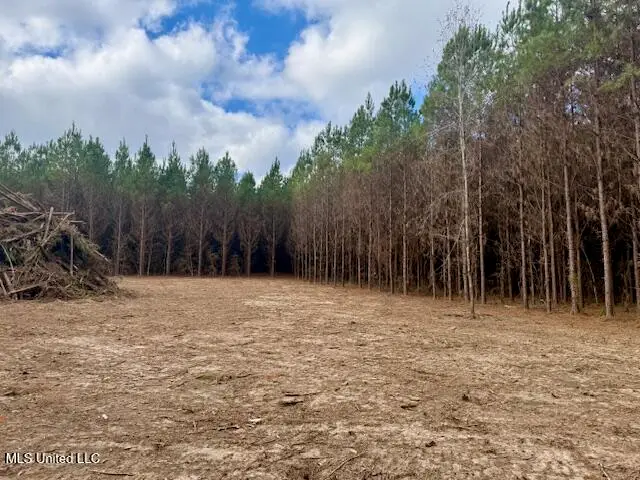 Military Road, Sandy Hook, MS 39478 - Image #3