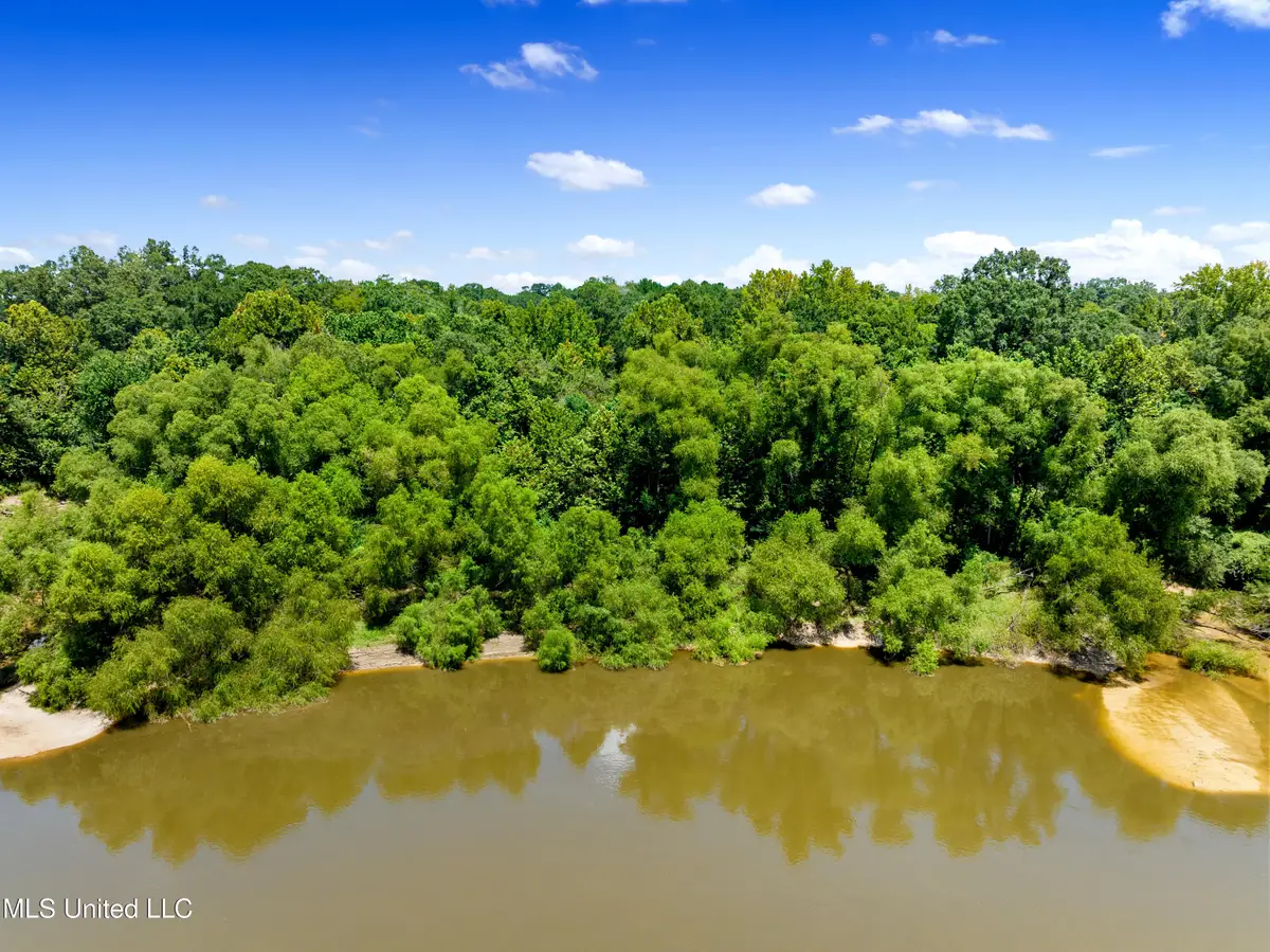 Hawkins Avenue, Columbia, MS 39429 - Image #1