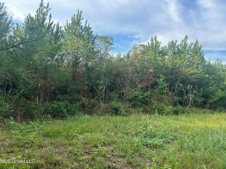 N River Road, Summit, MS 39666 - Image #3