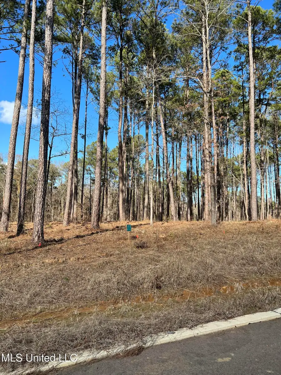 000 Venus Drive, Canton, MS 39046 - Image #3