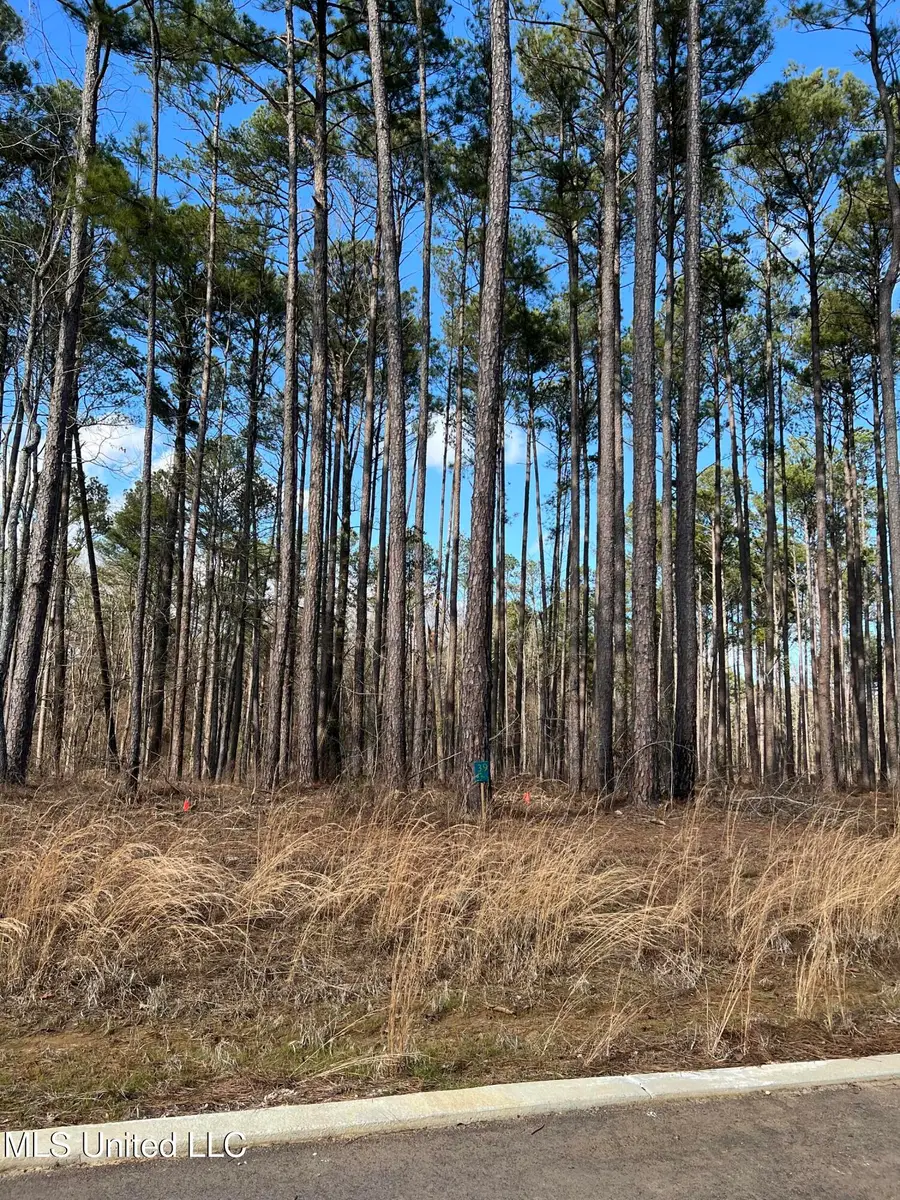 102 Venus Drive, Canton, MS 39046 - Image #3