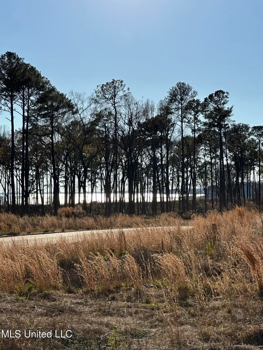 103 Venus Drive, Canton, MS 39046 - Image #3