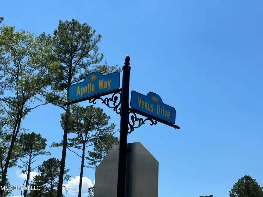 107 Venus Drive, Canton, MS 39046 - #3