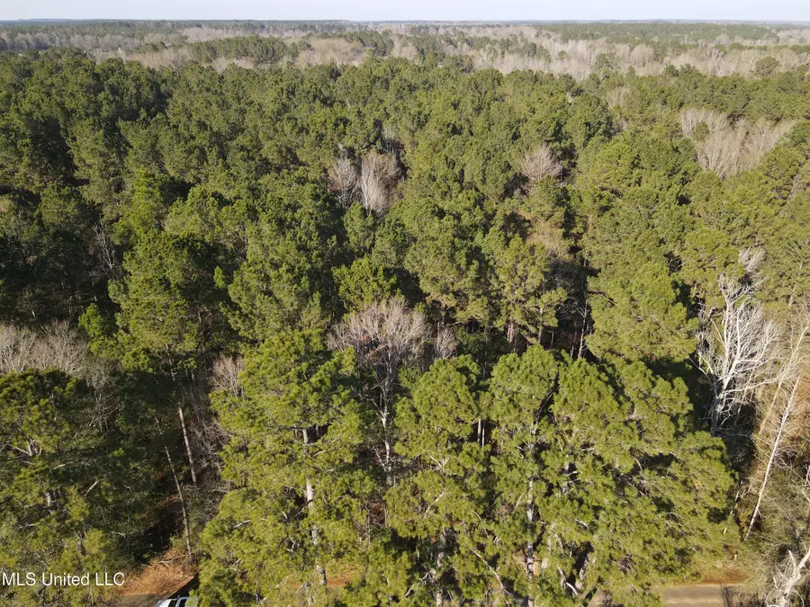 7729 N Hill Drive, Summit, MS 39666 - Image #2