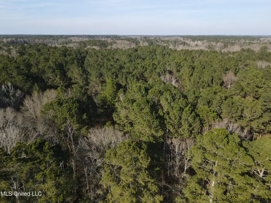 7729 N Hill Drive, Summit, MS 39666 - Image #3