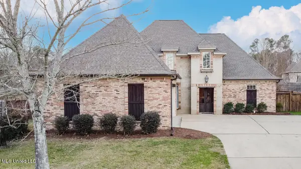 513 Camden Court, Brandon, MS 39047