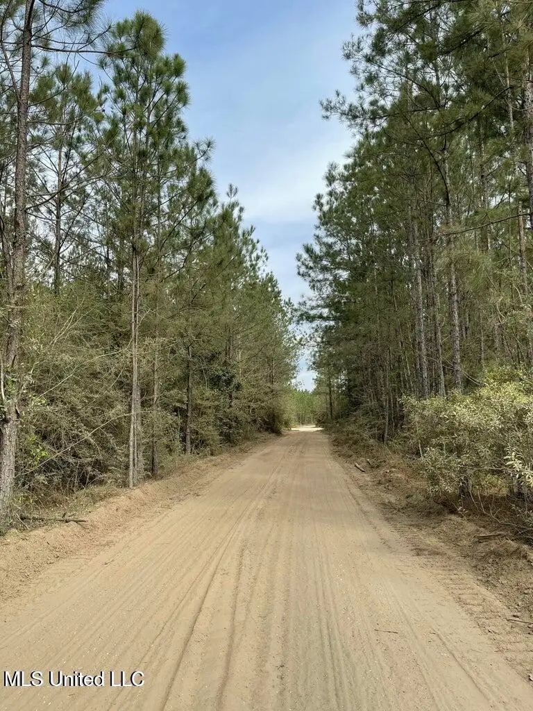 0 Texas Flat Rd, Kiln, MS 39556 - Image #2