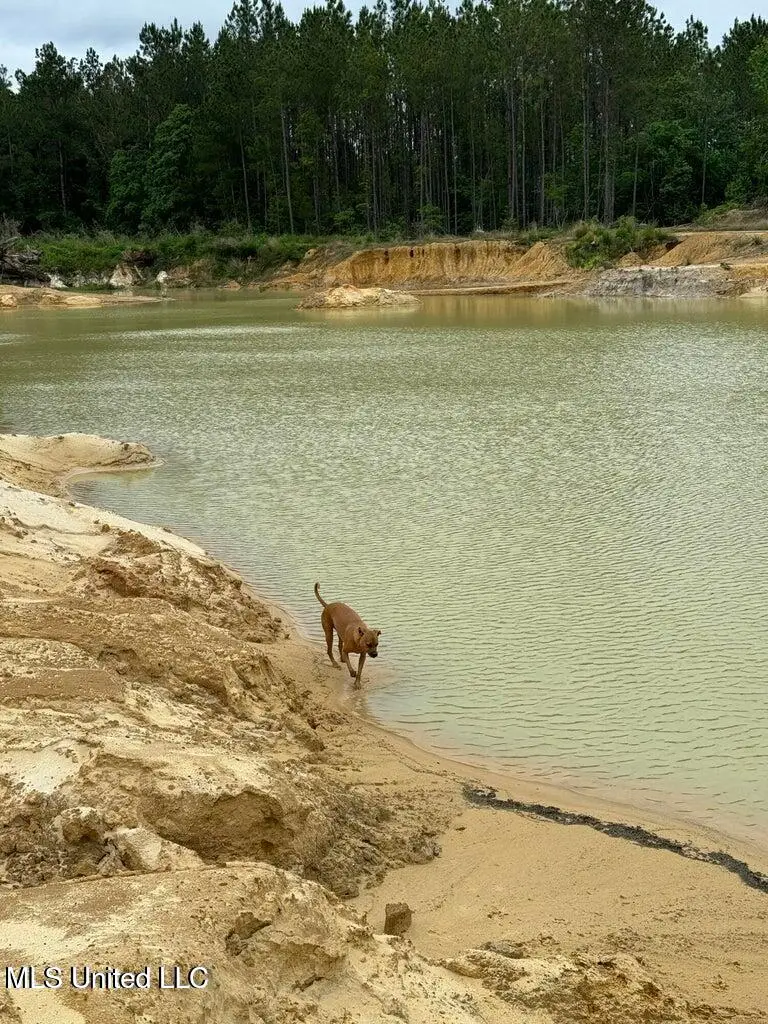 0 Texas Flat Rd, Kiln, MS 39556 - Image #3