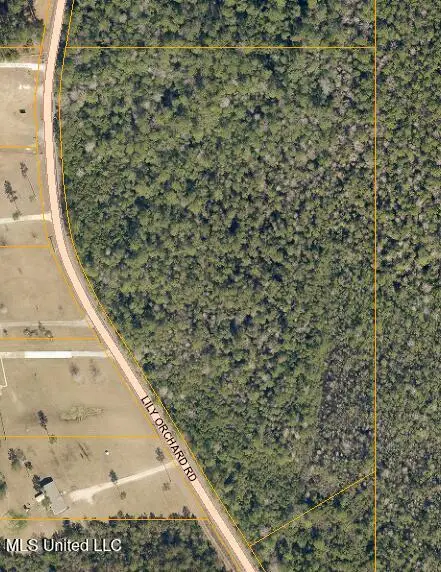 Lily Orchard Road, Moss Point, MS 39562