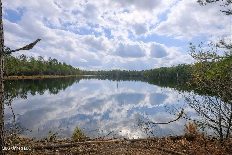 0 Road 311, Kiln, MS 39556 - Image #3