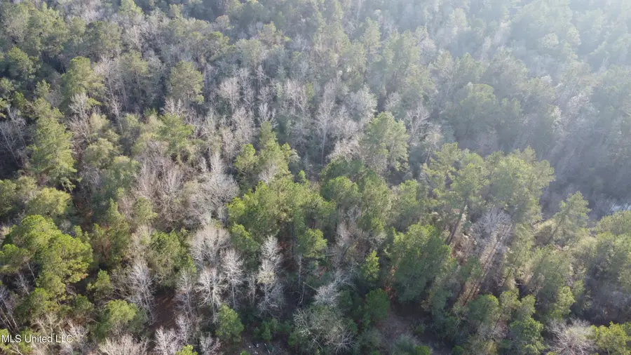 S County Line Road, Columbia, MS 39429 - Image #2