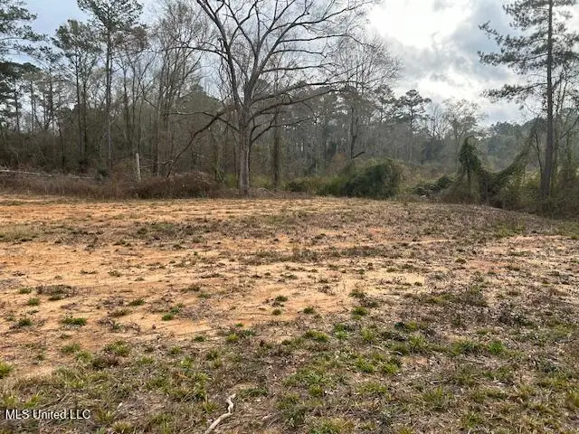 1028 Chester Reeves Road, McComb, MS 39648 - Image #2