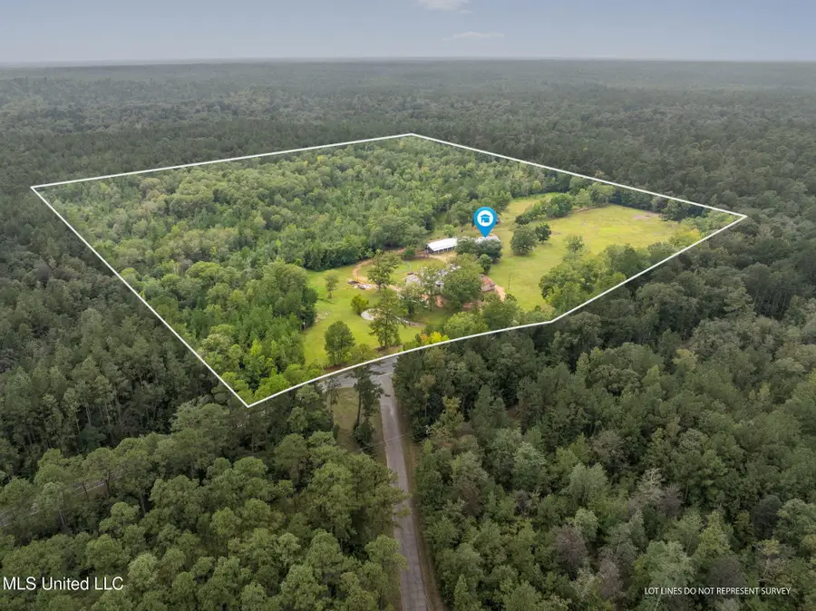 9641 Janice Brooklyn Road, Brooklyn, MS 39425 - Image #2