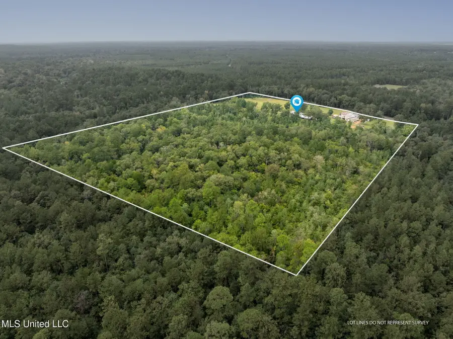 9641 Janice Brooklyn Road, Brooklyn, MS 39425 - Image #3