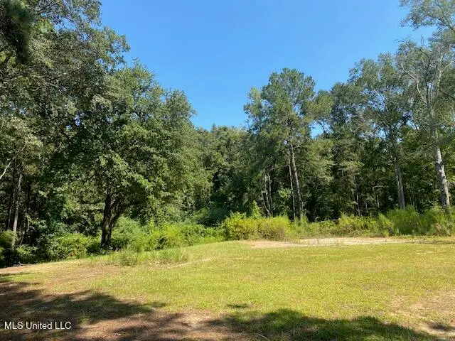 2073 Taylor Road, Magnolia, MS 39652 - Image #2