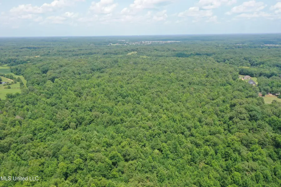 3466 Bethel Road, Olive Branch, MS 38654 - Image #3