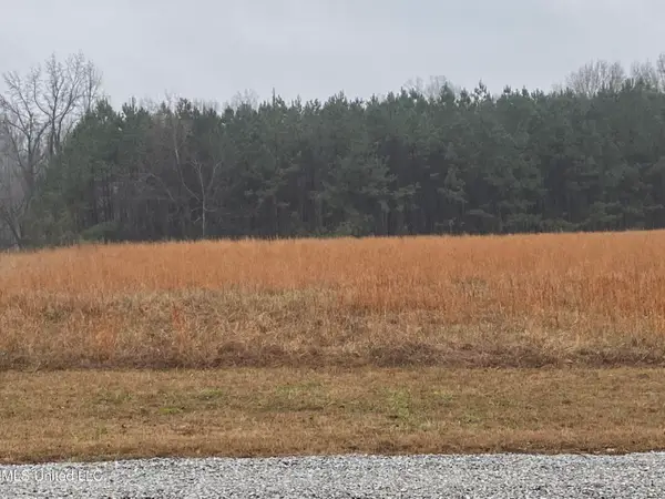 2603 Odom Road, Hernando, MS 38632