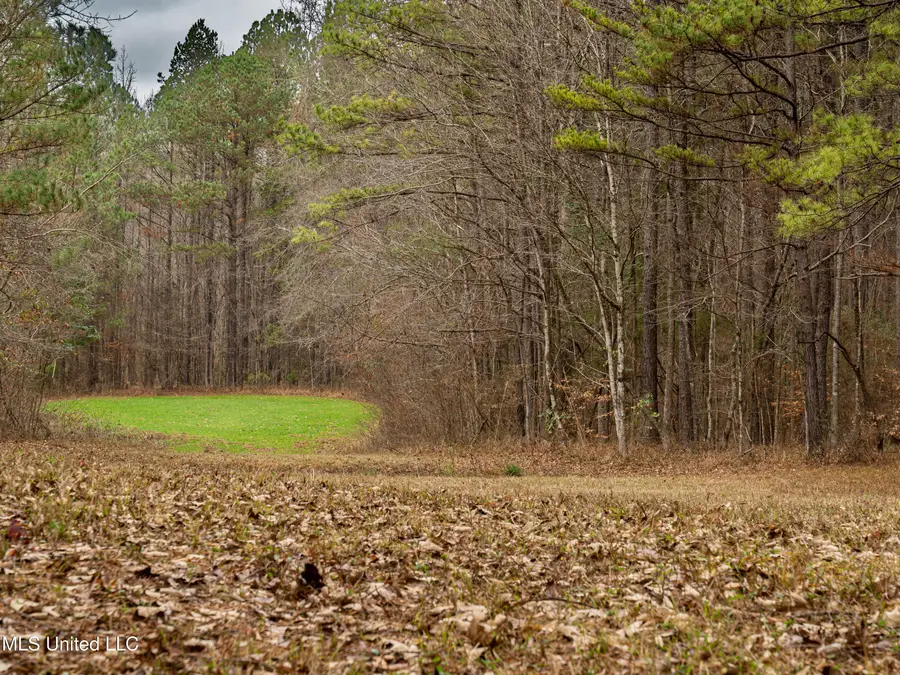 000 Liberty Church Road, Meridian, MS 39301 - Image #2