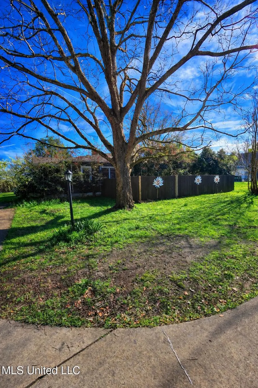 1079 Beech Street, Wesson, MS 39191 - Image #3