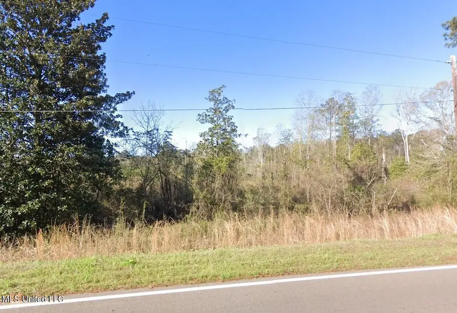 Lot 4 Myrick Avenue, Lumberton, MS 39455 - Image #2