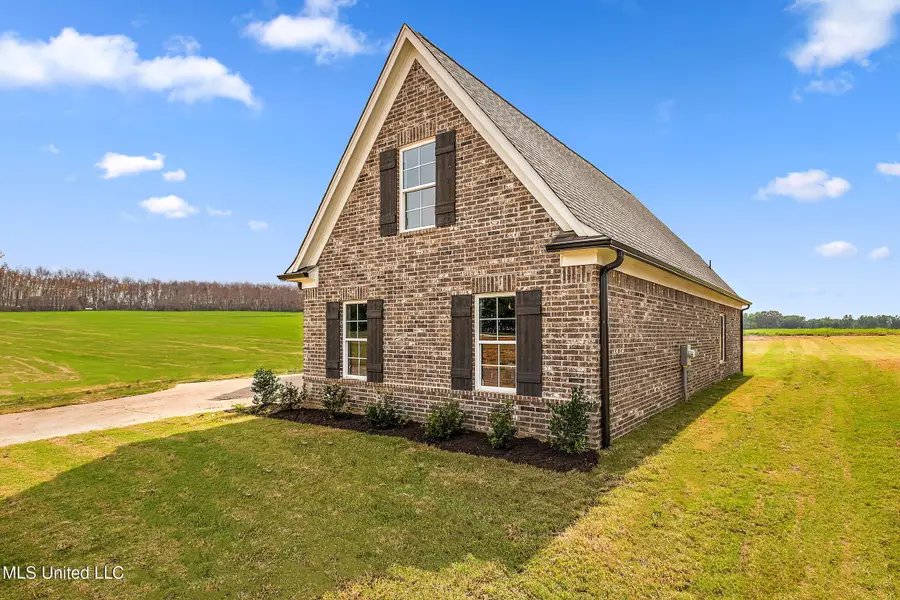 13843 Molly Madeline Lane, Olive Branch, MS 38654 - Image #2