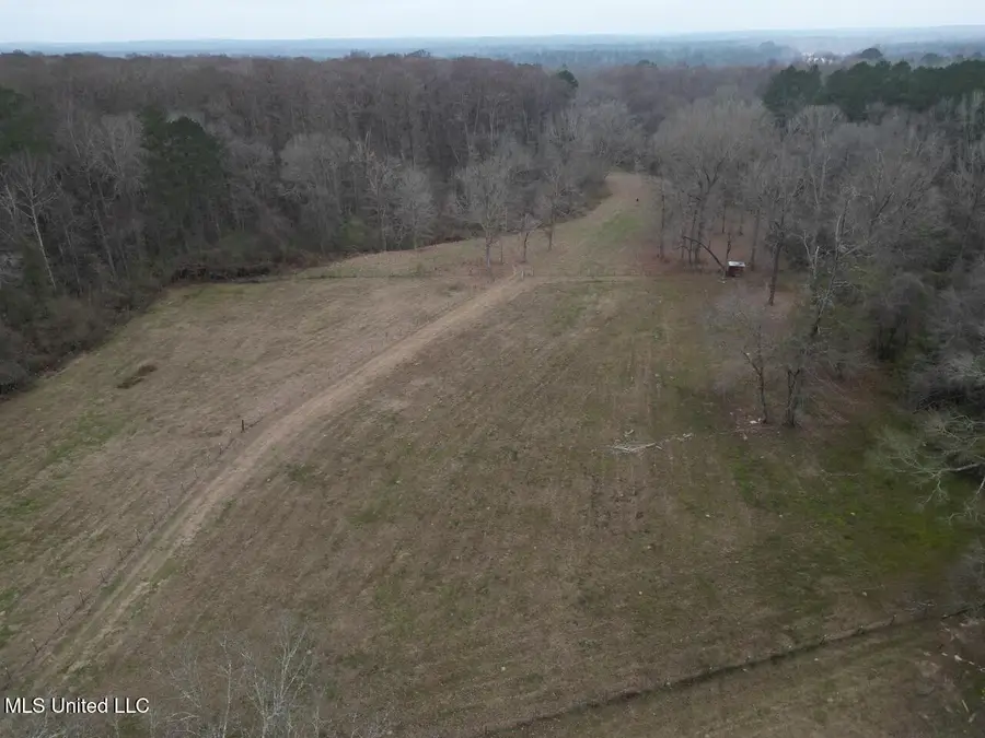 7035 Robertson Road, Meadville, MS 39653 - Image #3