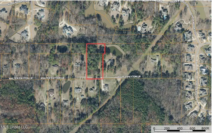 164 Walter Payton Lane, Ridgeland, MS 39157 - Image #2