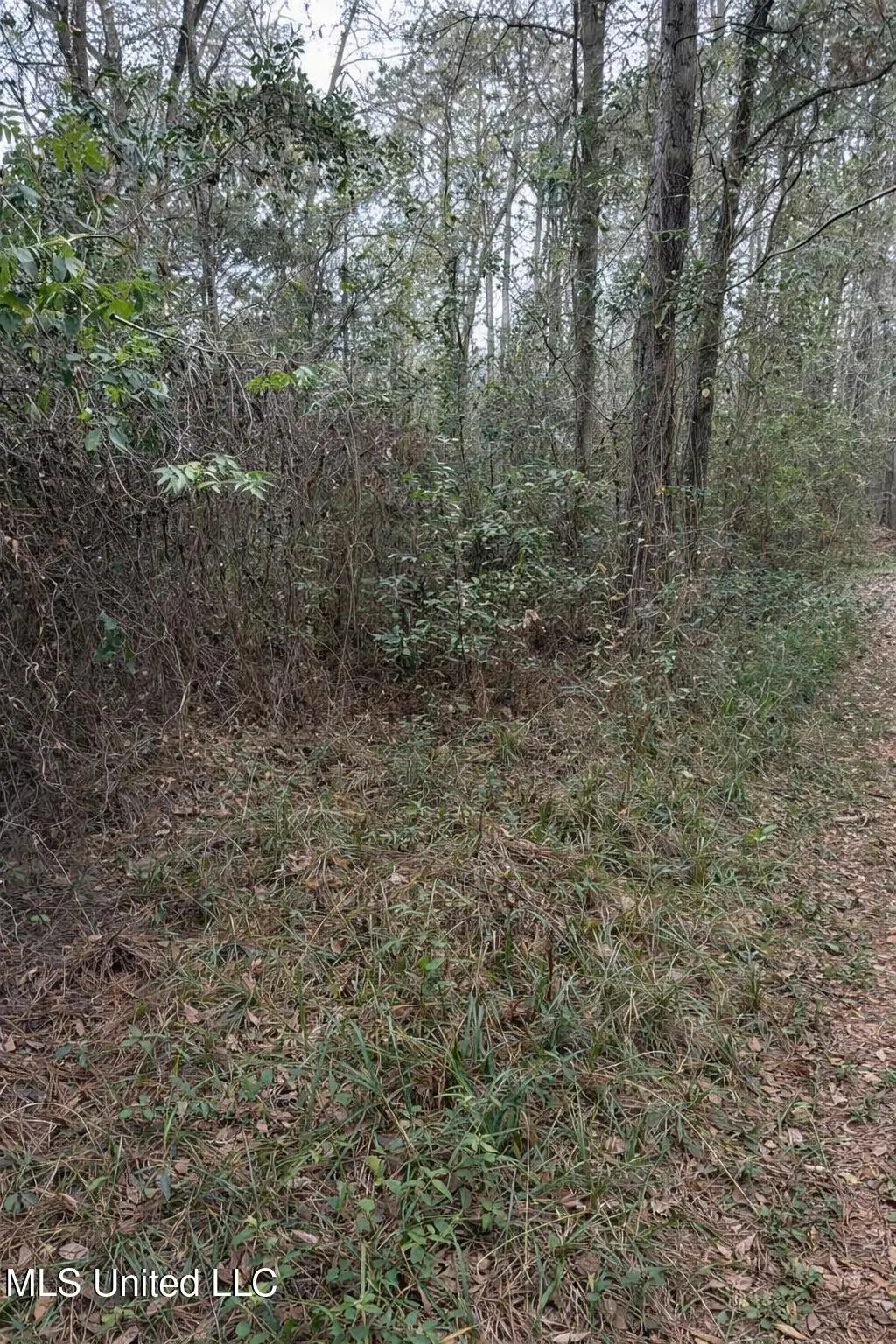 Beechwood Street, Pass Christian, MS 39571 - Image #1