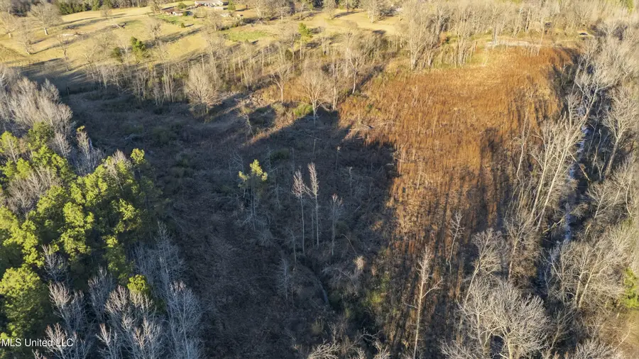 Gravel Springs Road, Senatobia, MS 38668 - Image #2