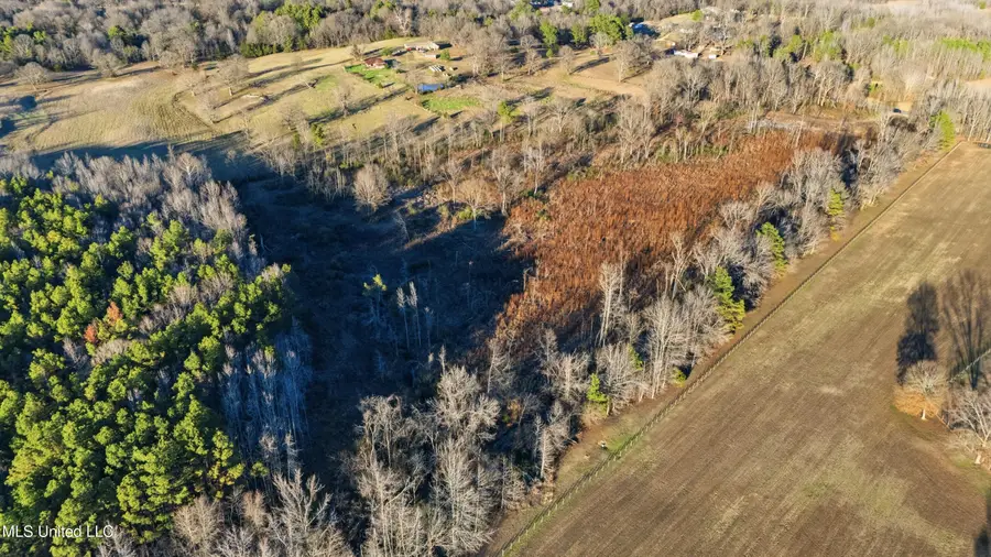 Gravel Springs Road, Senatobia, MS 38668 - Image #3