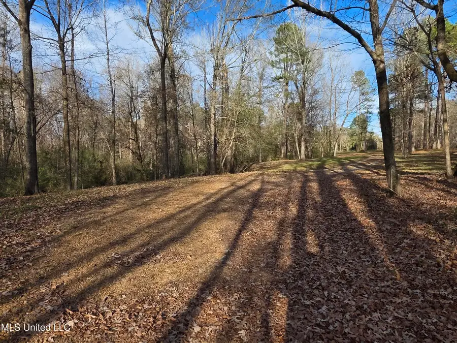 753 Old Highway 84, Roxie, MS 39661 - Image #2