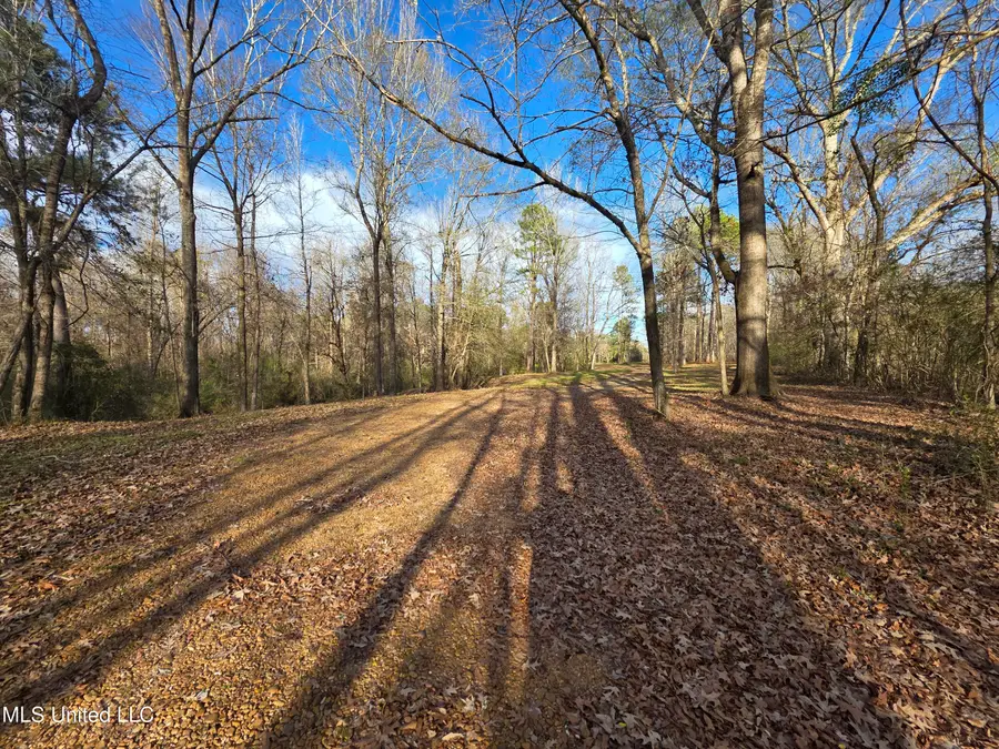 753 Old Highway 84, Roxie, MS 39661 - Image #3