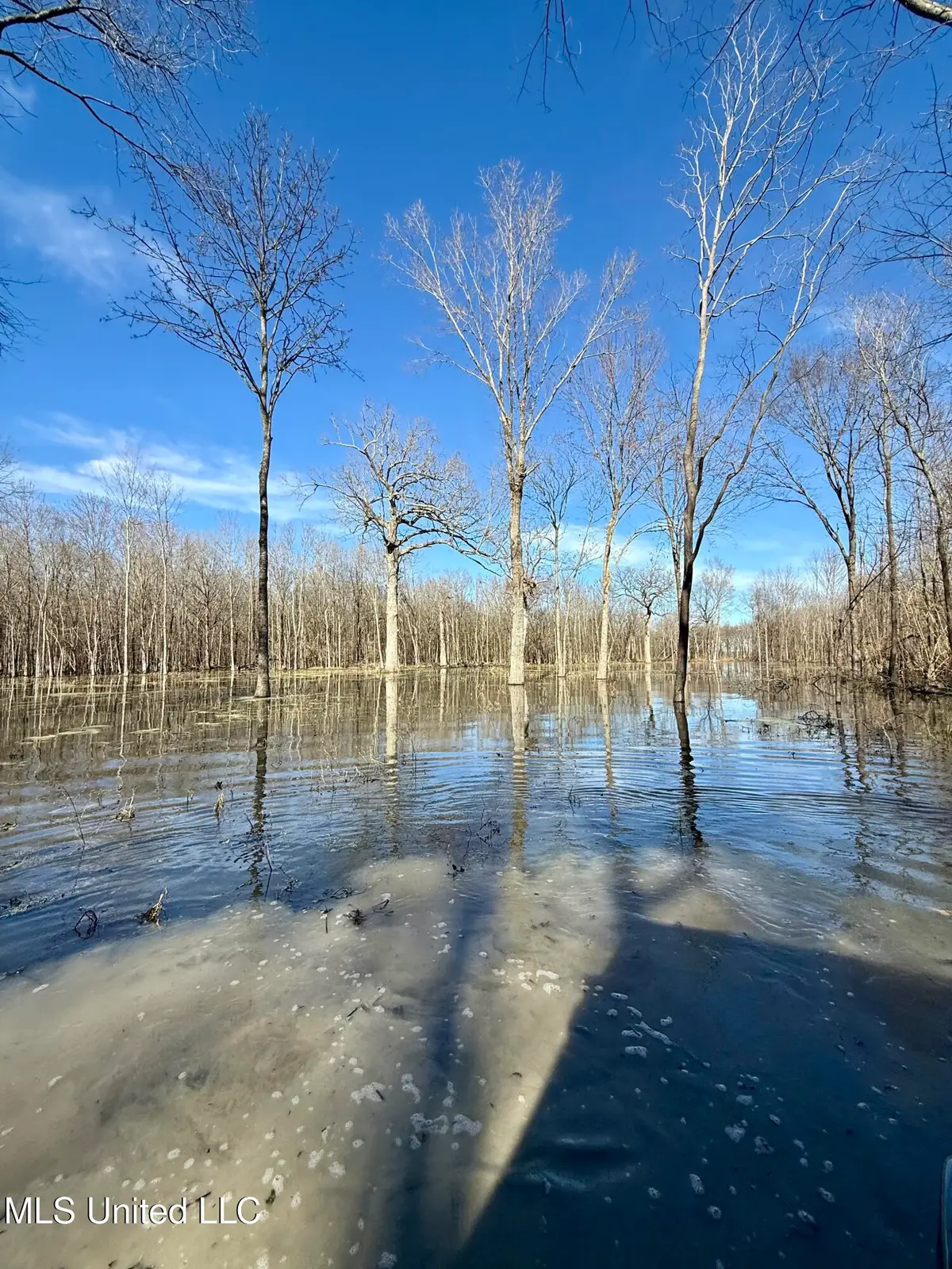 Abraham Road, Silver City, MS 39166 - Image #1