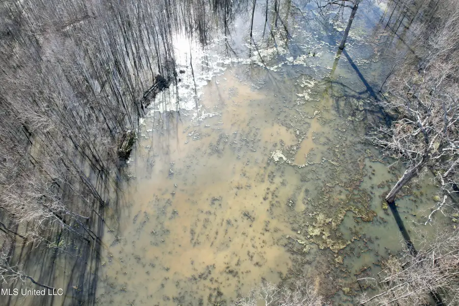 Abraham Road, Silver City, MS 39166 - Image #3