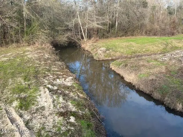 Irene Road, Magnolia, MS 39652 - Image #2