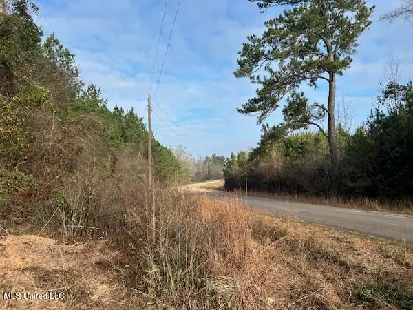 Irene Road, Magnolia, MS 39652