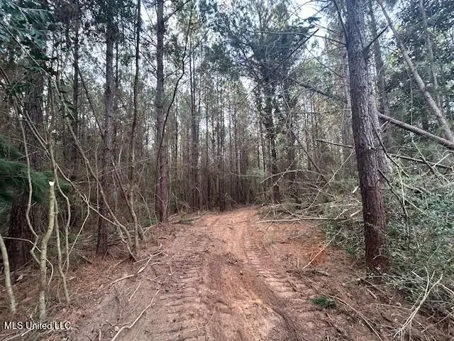 Irene Road, Magnolia, MS 39652 - Image #2