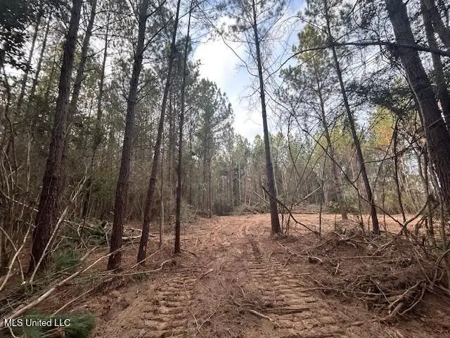 Irene Road, Magnolia, MS 39652 - Image #3