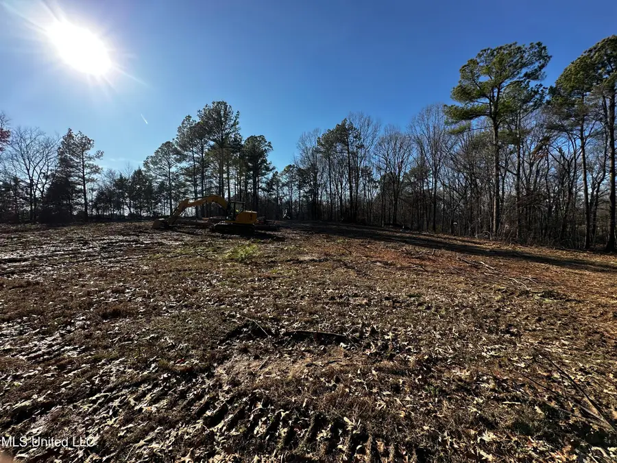 Curbo Lane, Olive Branch, MS 38654 - Image #3