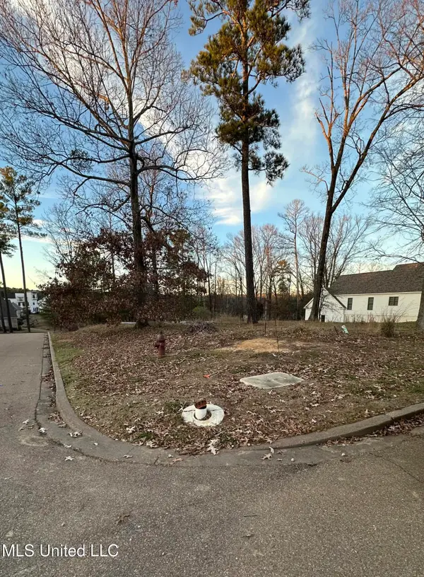 N Natchez Drive, Madison, MS 39110