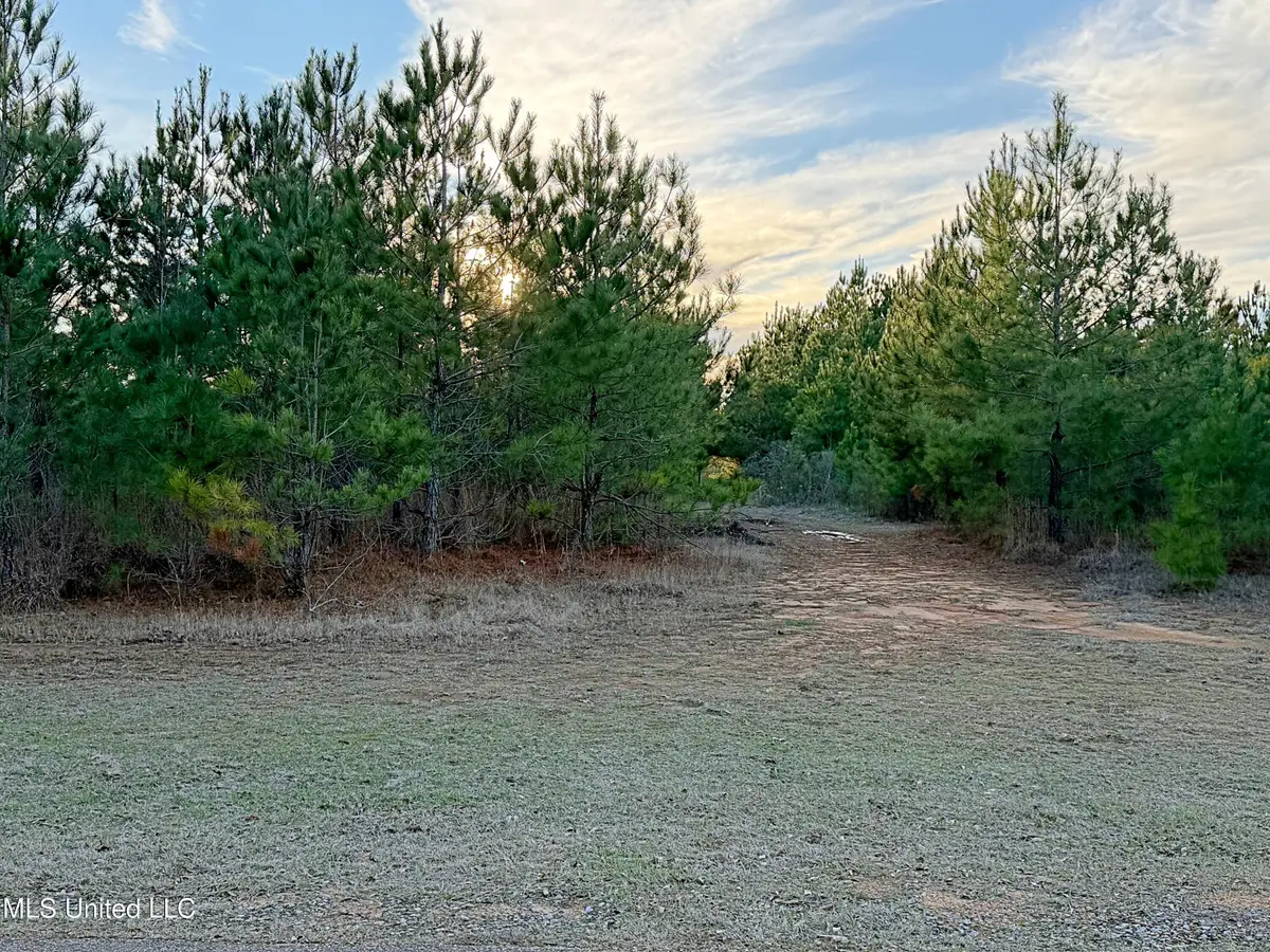 00 Airport Road, Carthage, MS 39051 - Image #1