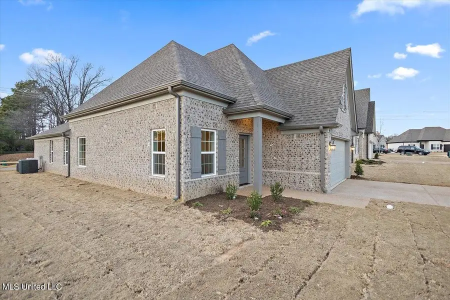 13846 Molly Madeline Lane, Olive Branch, MS 38654 - Image #3