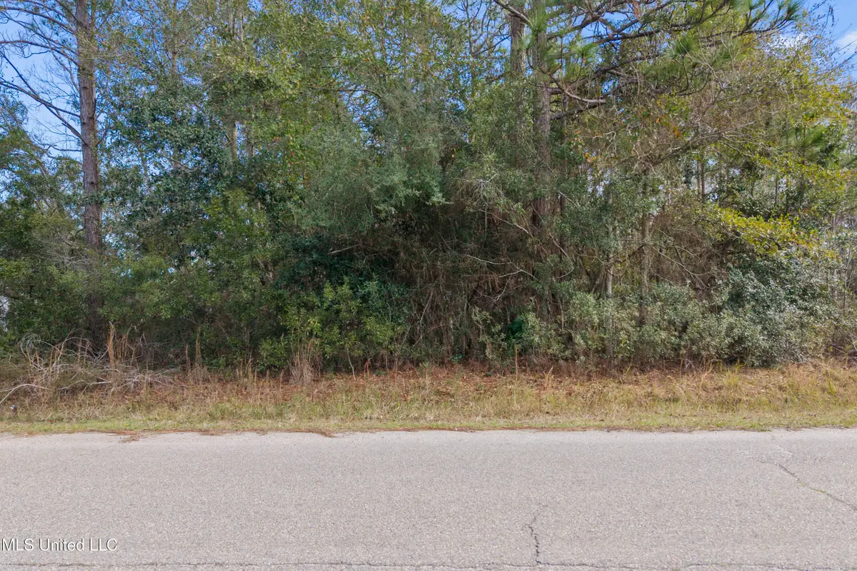 Spanish Cove, Waveland, MS 39576 - Image #1